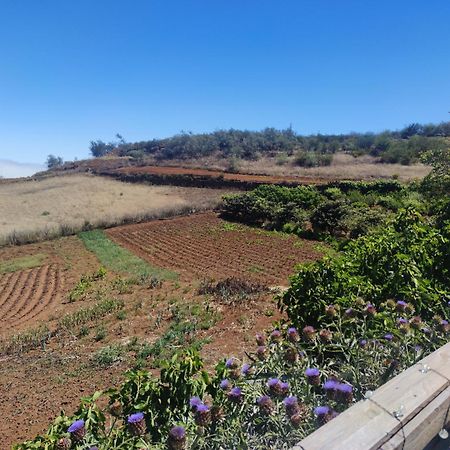 Finca El Cercadillo Gáldar Zewnętrze zdjęcie